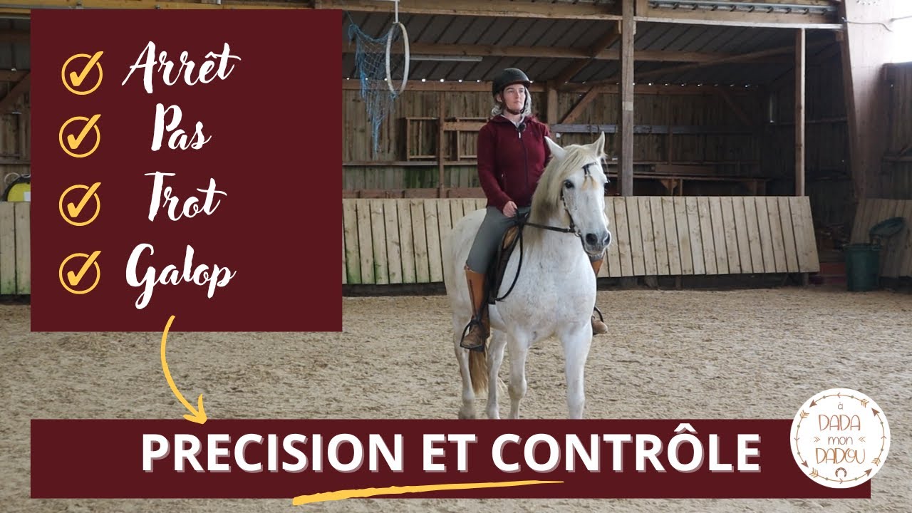 Arrêt, trot, galop : comment réussir toutes vos transitions à cheval ?