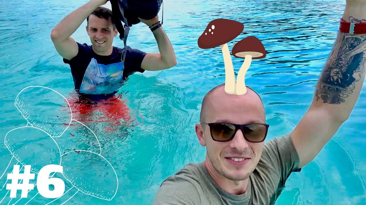 Magiczne 🍄 i bezludna wyspa - TEGO się nie spodziewaliśmy!