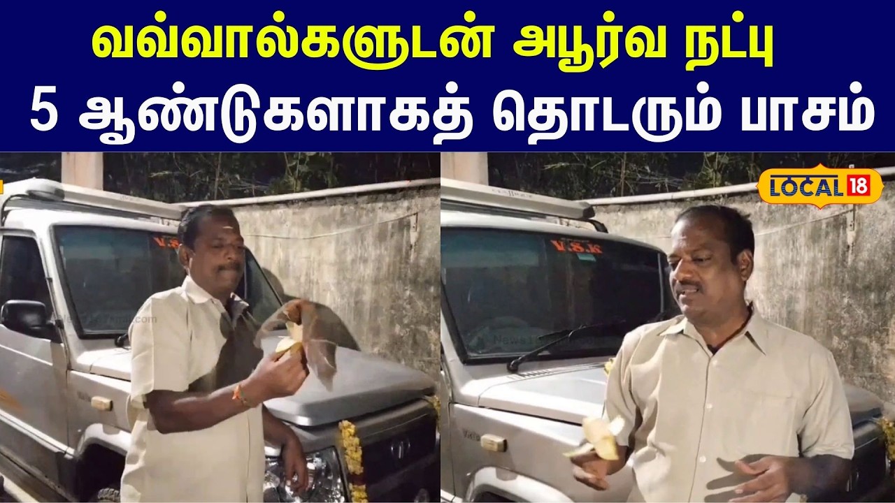 Feeding Bats Viral Video: வவ்வால்களுடன் அபூர்வ நட்பு... 5 ஆண்டுகளாகத் தொடரும் பாசம் #local18