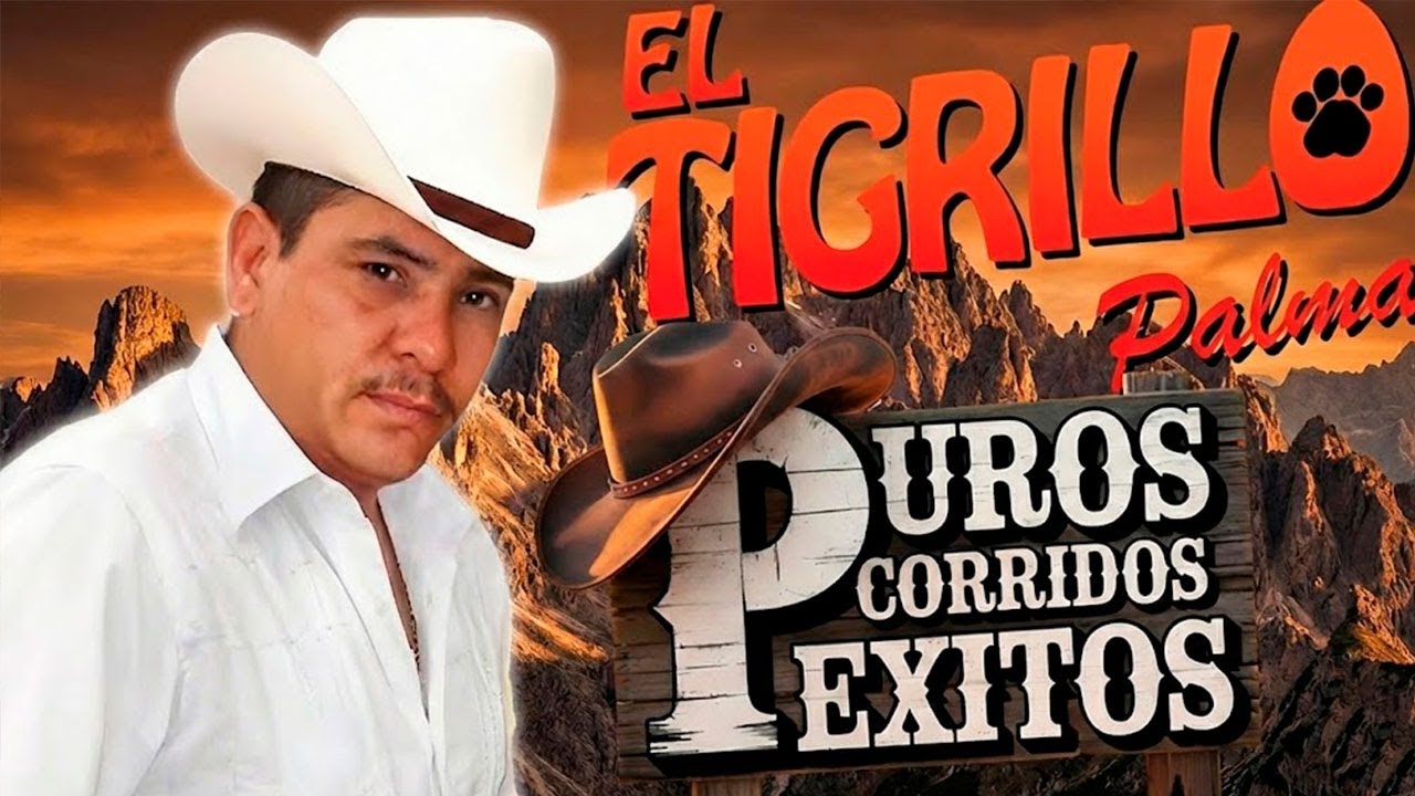 💥 Corridos de la Sierra 2026 | El Tigrillo Palma Mix Nuevo y Exclusivo