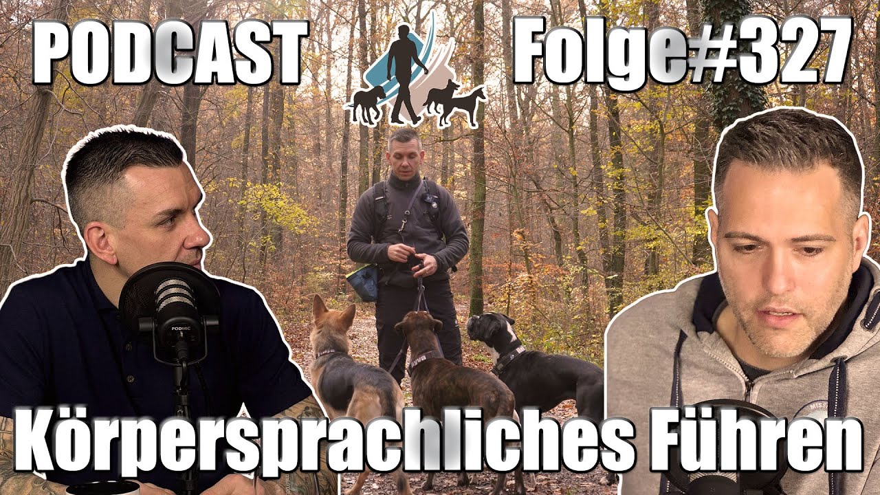 Körpersprachliches Führen