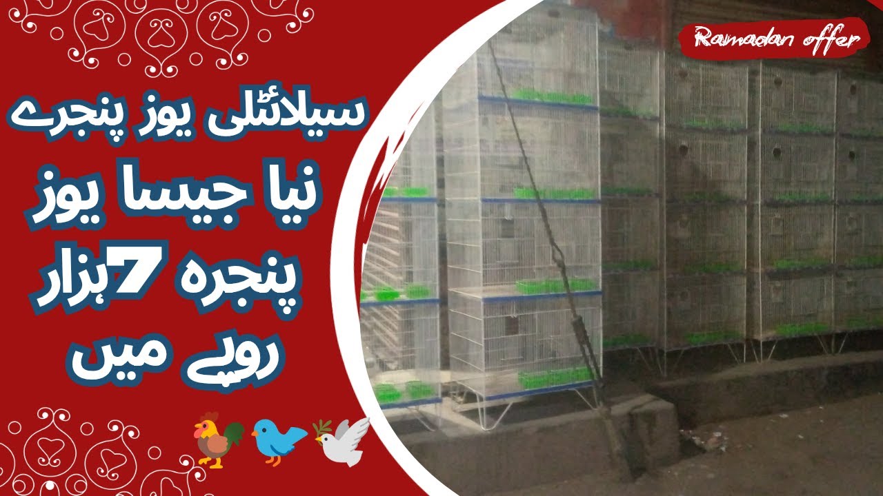 Slightly used cages 7000||Osama bhai cage shop||at a lower price than the market||cageinformation