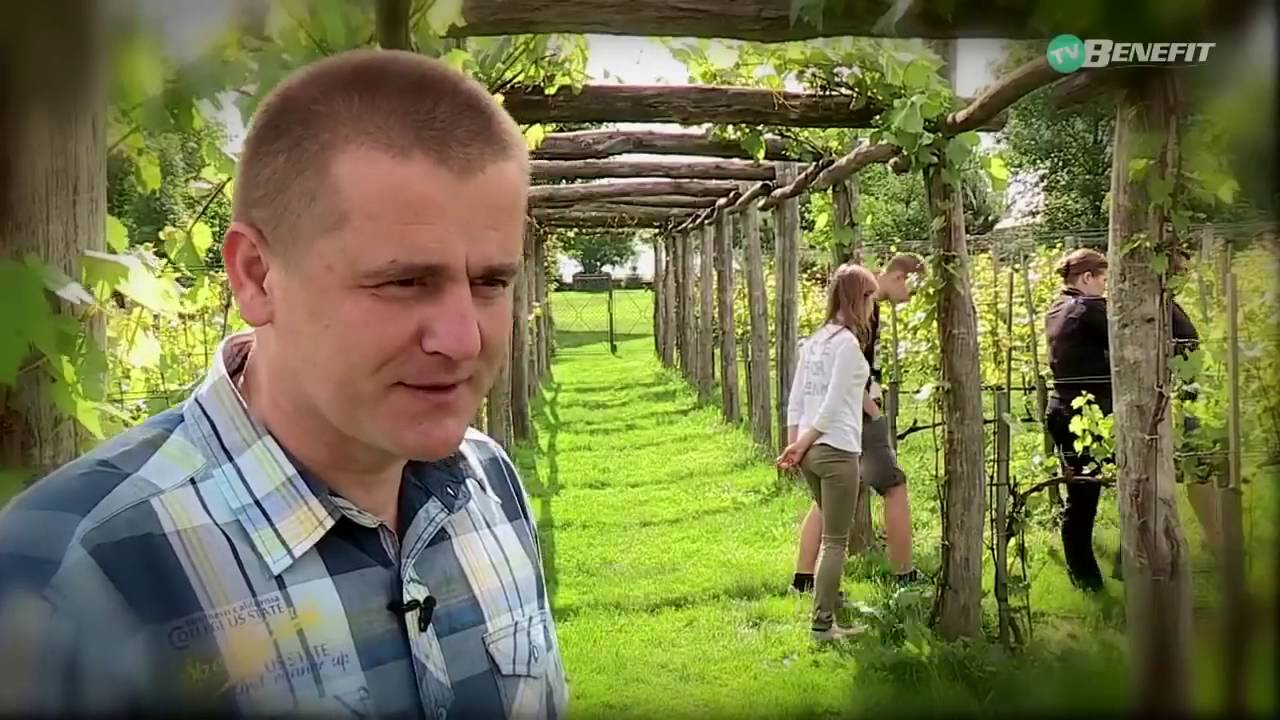 Winnica Spotkaniowka Enoturystyka Polska