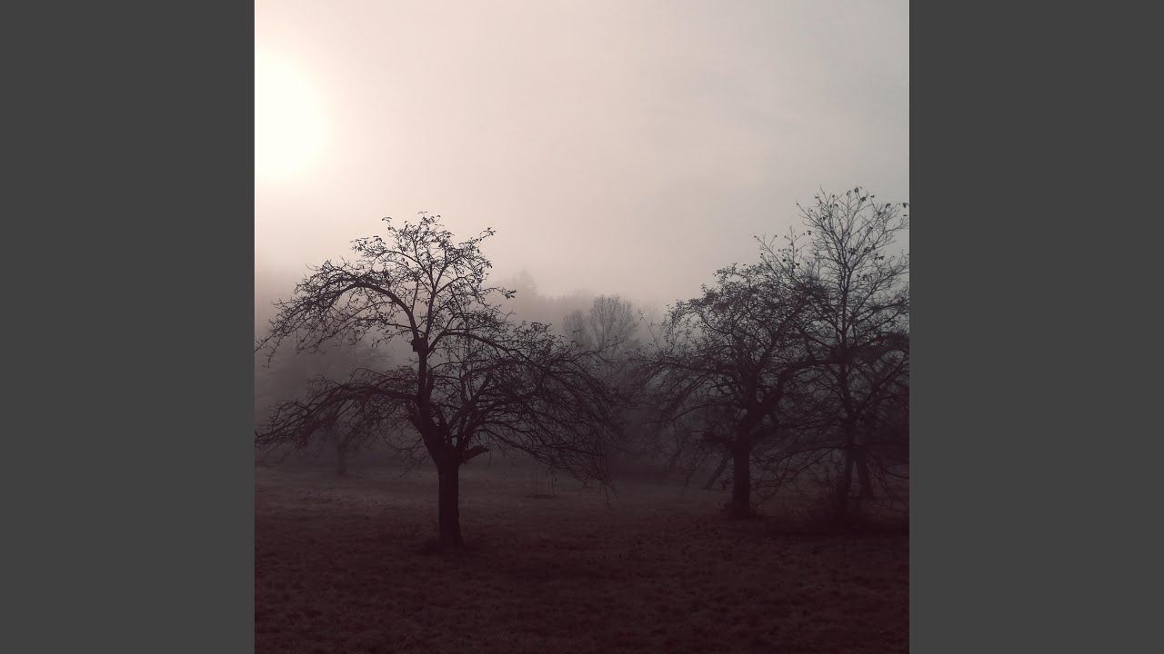 Brachland