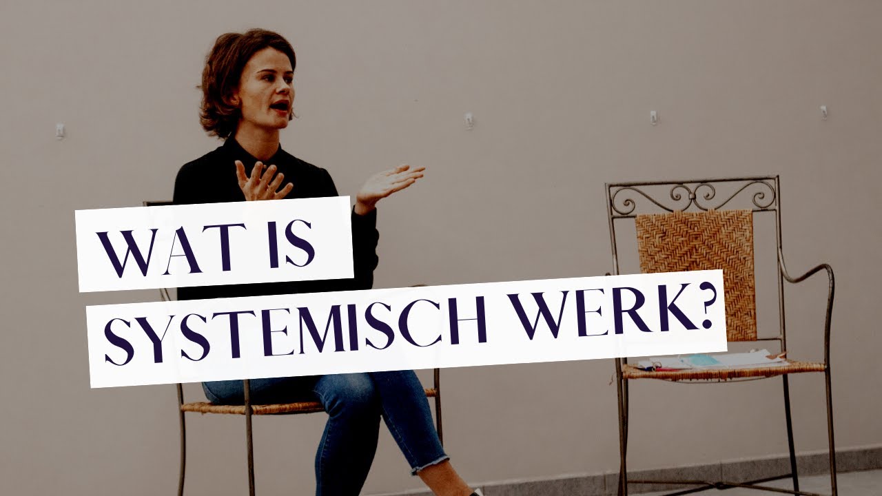 Wat is systemisch werk?