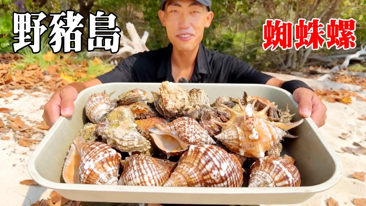 印尼野豬島生存！资源丰富却环境恶劣，各种野兽环绕，第一天就捡到了大量蜘蛛螺！【探索兄弟】