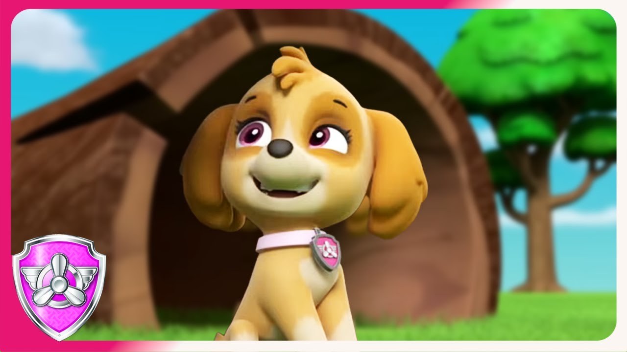Play Tag with Skye and Rocky | Skye PAW Patrol | Cartoons for Kids