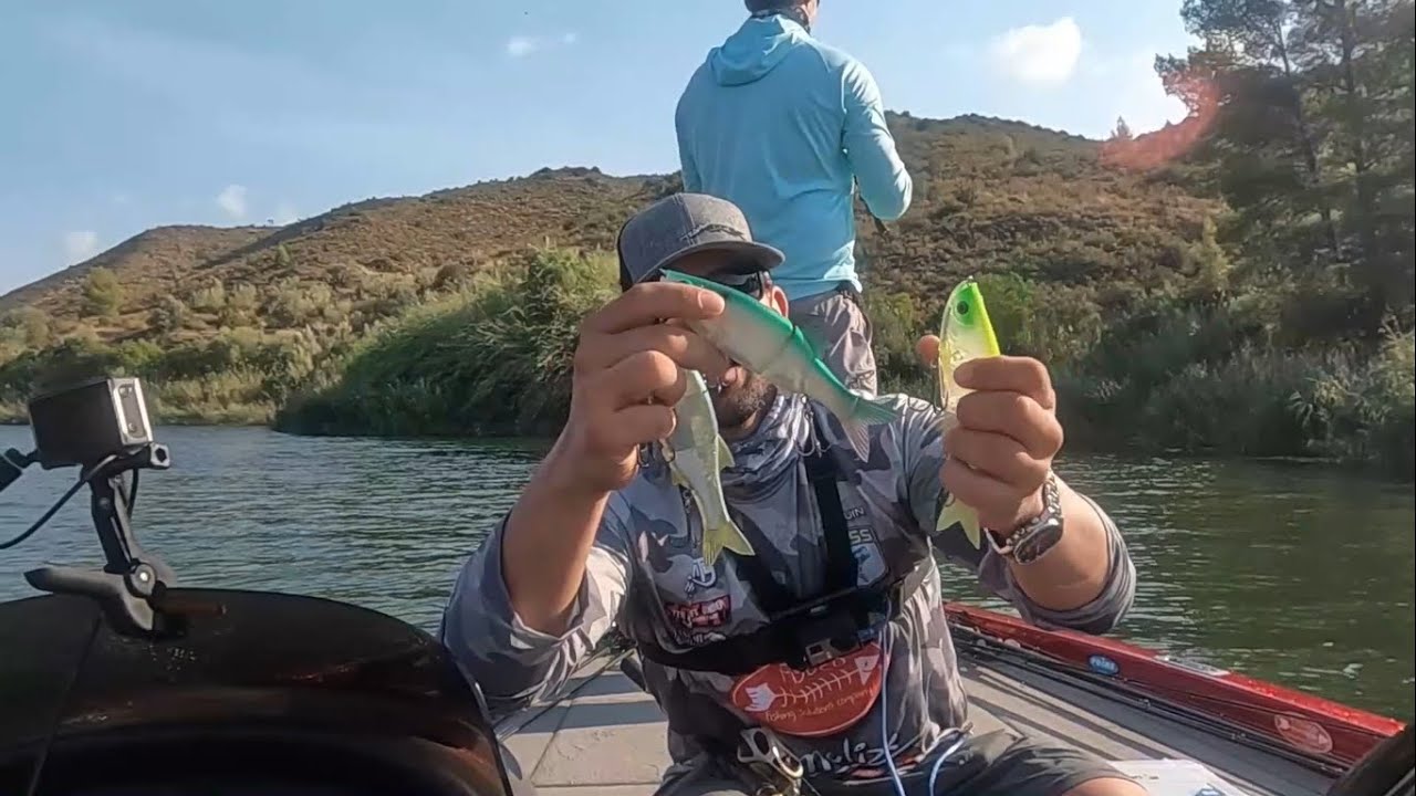 BASSES VERANIEGOS en FAYON