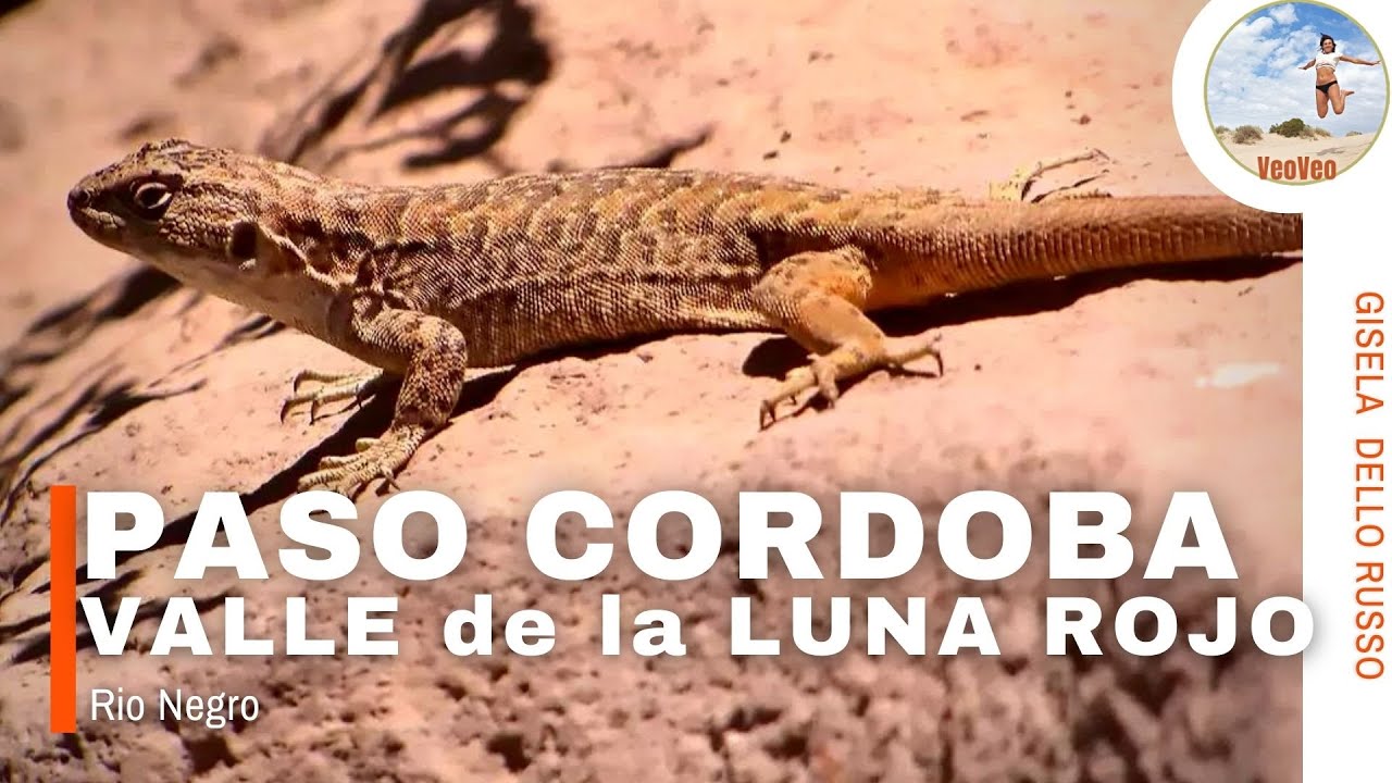 ✅ ASI es  el VALLE de la LUNA Rojo | Gral ROCA - Río Negro - Patagonia Argentina (PASO CORDOBA)