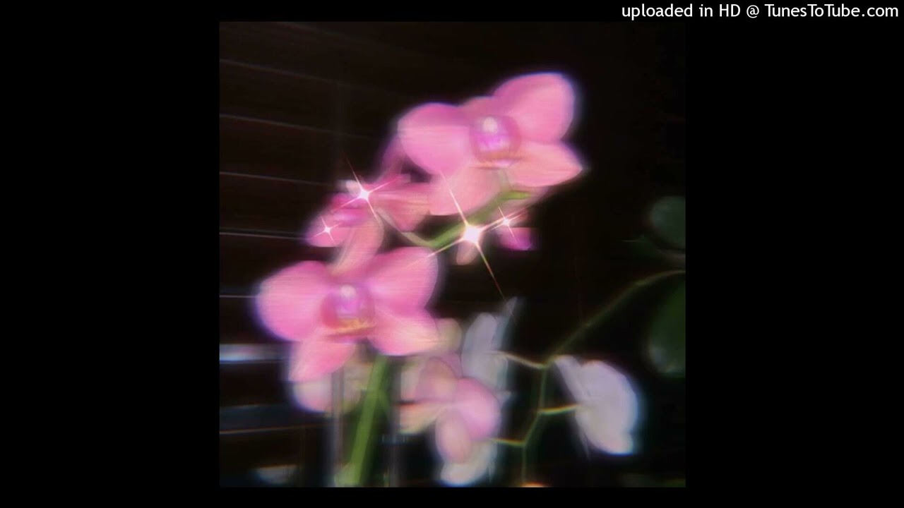 [FREE] MNZR x NVSCVR x Pluggnb Type beat "palabras"