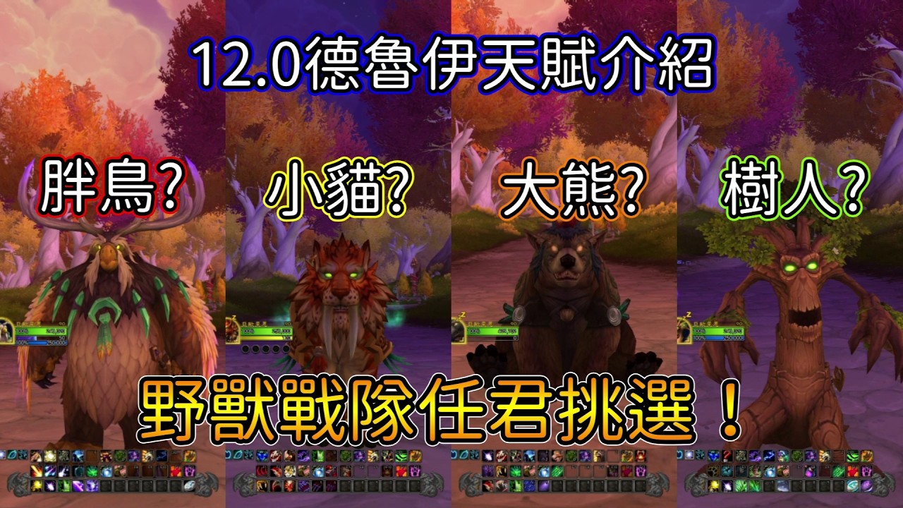 【魔獸世界】★12.0德魯伊教學★ 德魯伊新天賦介紹 ｜平衡｜野性｜ 守護者｜恢復 | 野獸戰隊一次滿足！ (3/9資訊欄天賦已更新)【亞可魯】
