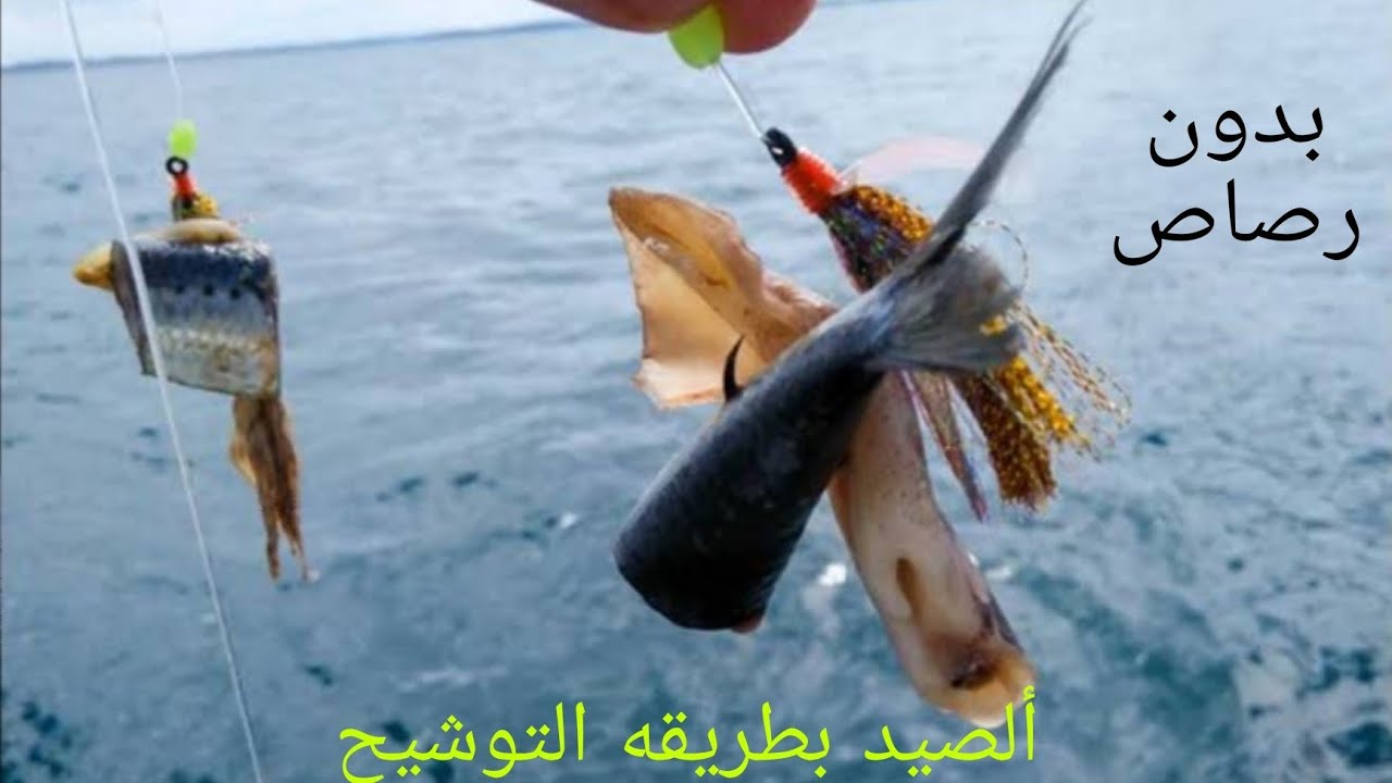 الصيد بطريقه التوشيح او الوش بدون رصاص (لاستهداف السمك الكبير).. (ج1).