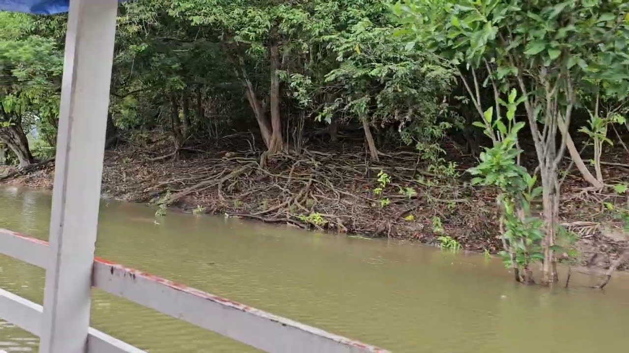 Real life Jungle cruise Boca de Valeria,  Brazil