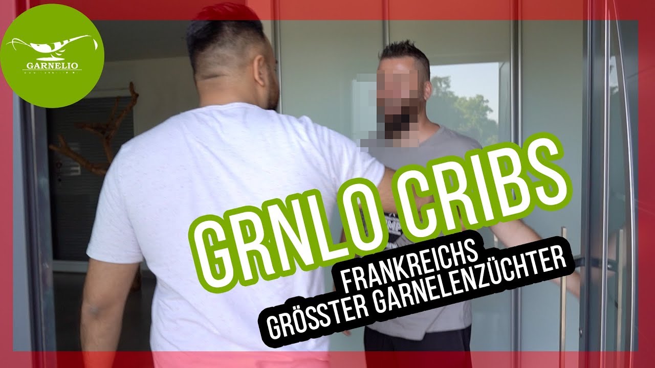 💰30.000€ GARNELENZUCHTANLAGE - Frankreichs GRÖßTER Garnelenzüchter 🦐