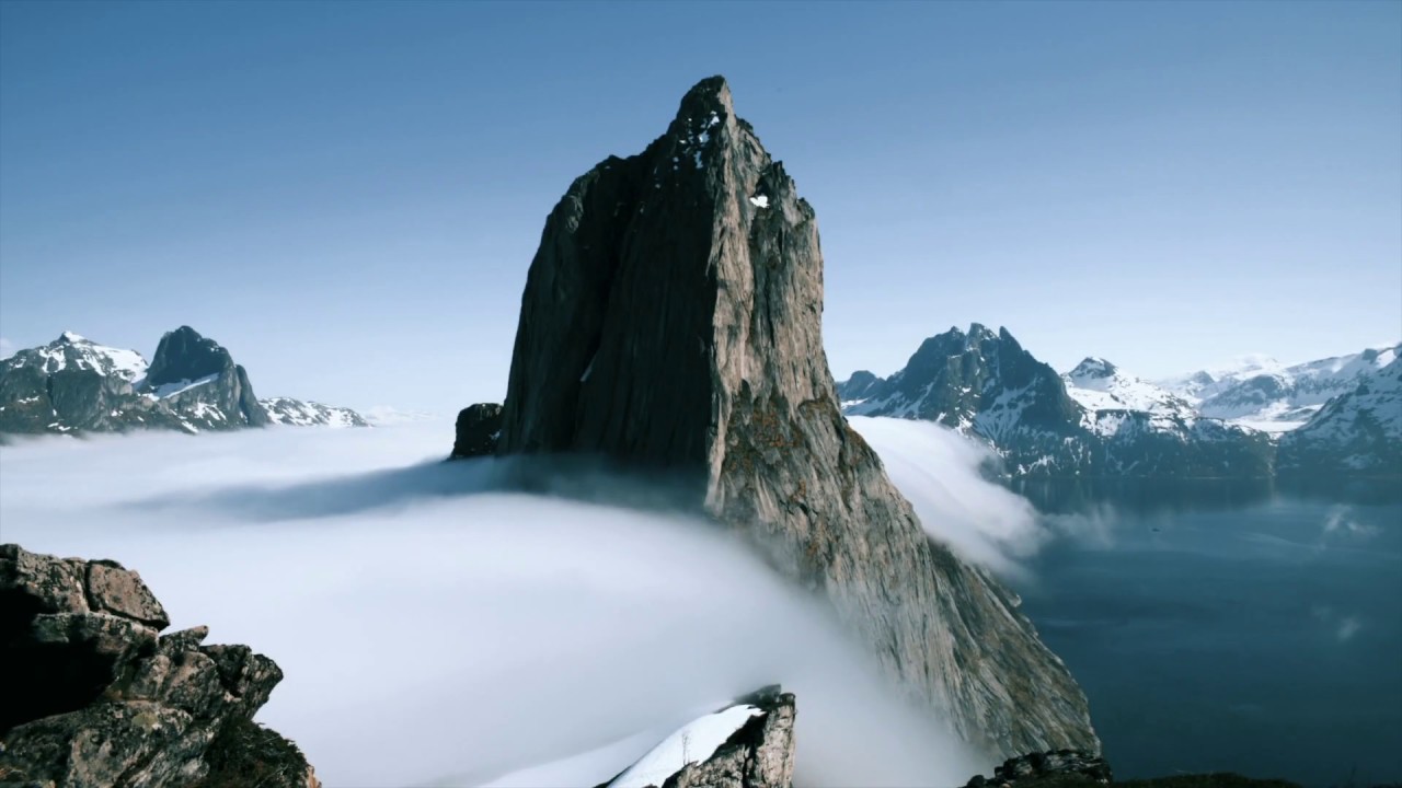 Nature Documentary Music | Freedom