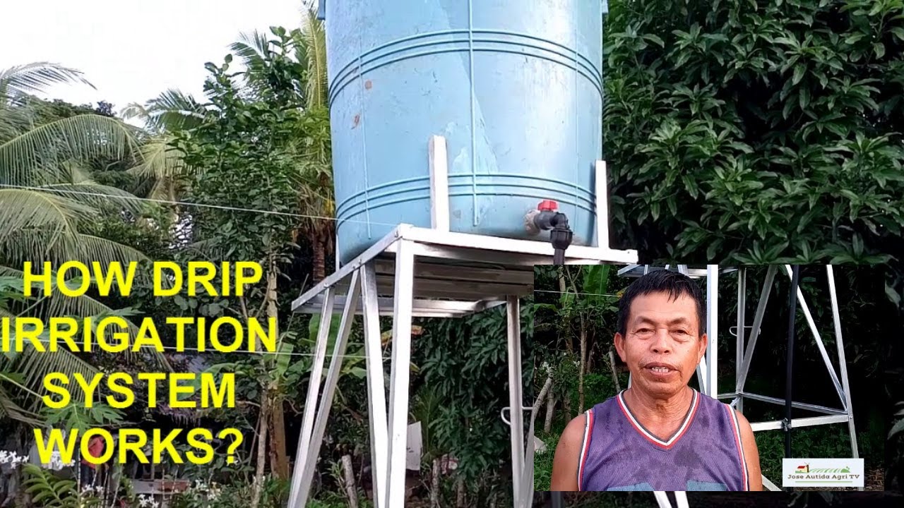 HOW DRIP IRRIGATION SYSTEM WORKS - JOSE AUTIDA AGRI TV