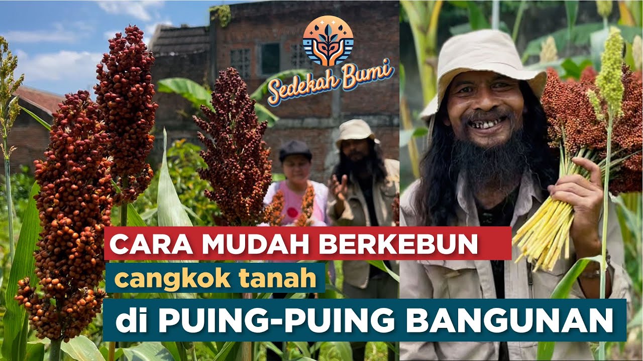 Cara Mudah Berkebun 'Cangkok Tanah' di Puing-Puing Bangunan