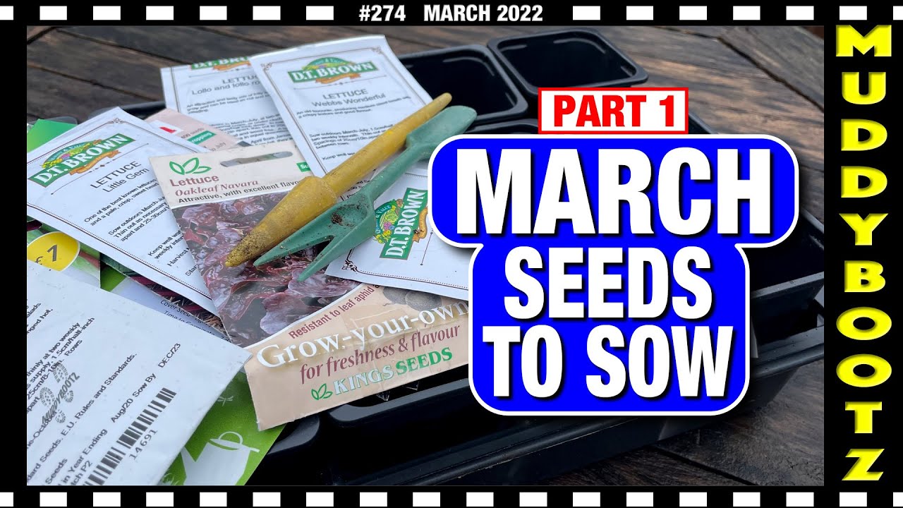 🌻274 🌻 WHAT SEEDS TO SOW IN MARCH 🌻 EASY TO GROW VEG 🌻