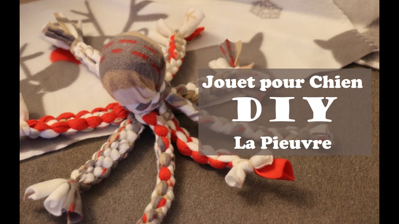 Jouet pour chien DIY: la Pieuvre