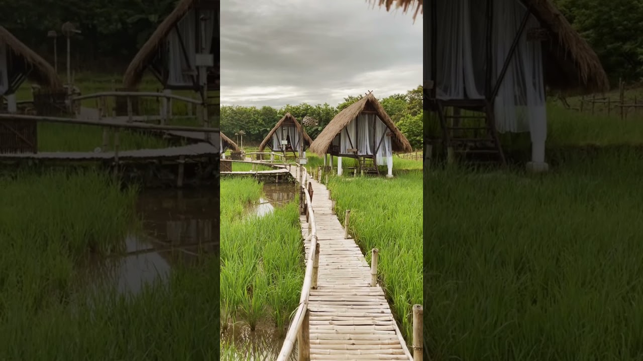 Glamping in the Middle of a Rice Field! Mudita Glamping Resort Tarlac, Philippines