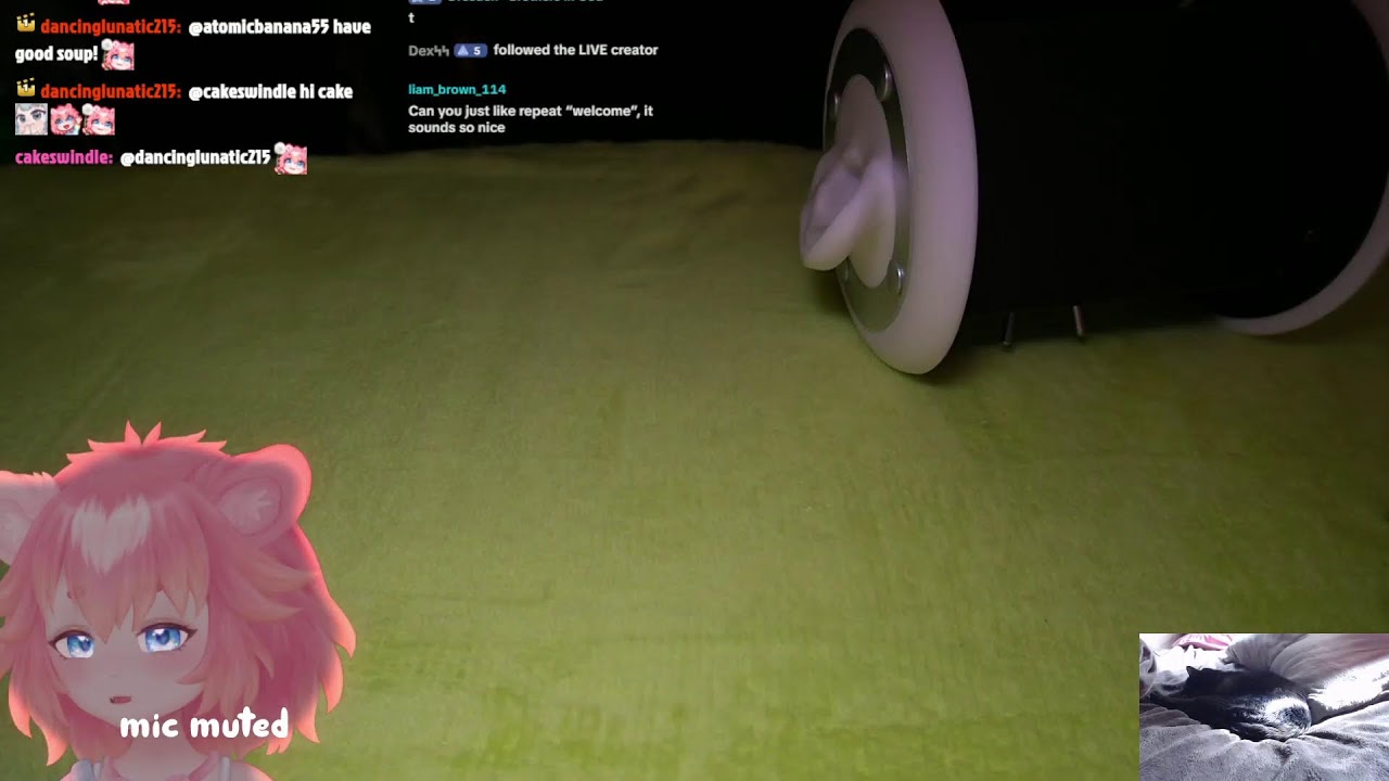 wholesome ASMR  live 💤 vtuber 3/17/26