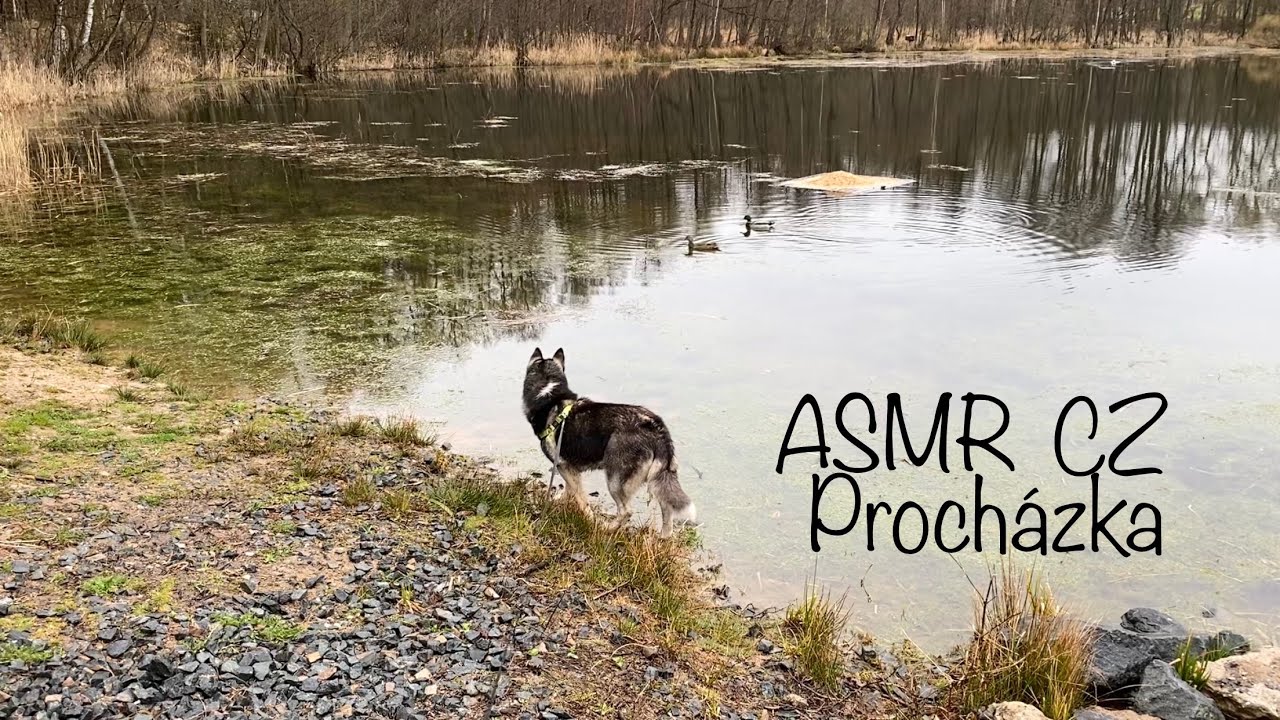 ASMR CZ Uklidňující procházka přírodou - šeptání a jemné zvuky🌲🐶✨