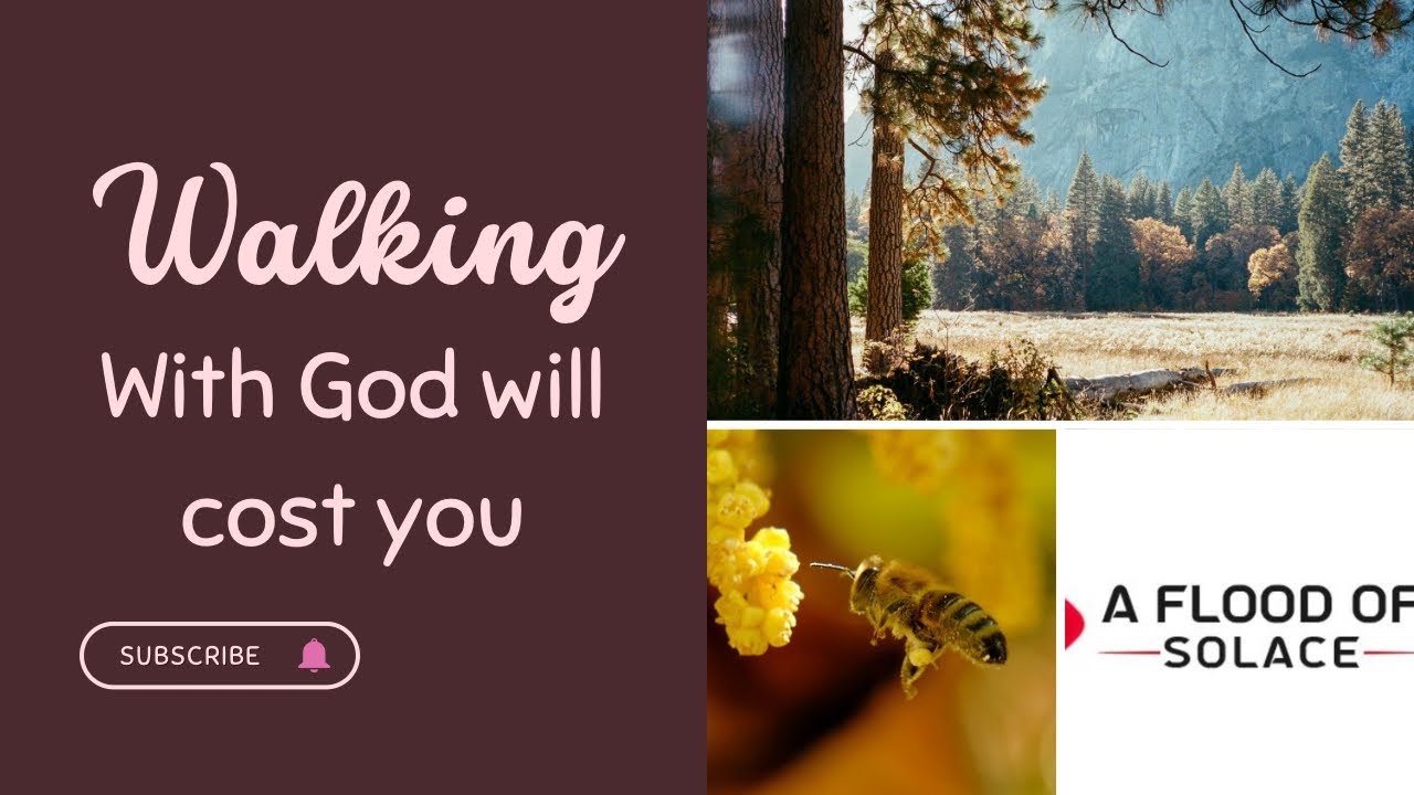 Following the Lord Will Cost You… #propheticword  #salvación #truthmatters