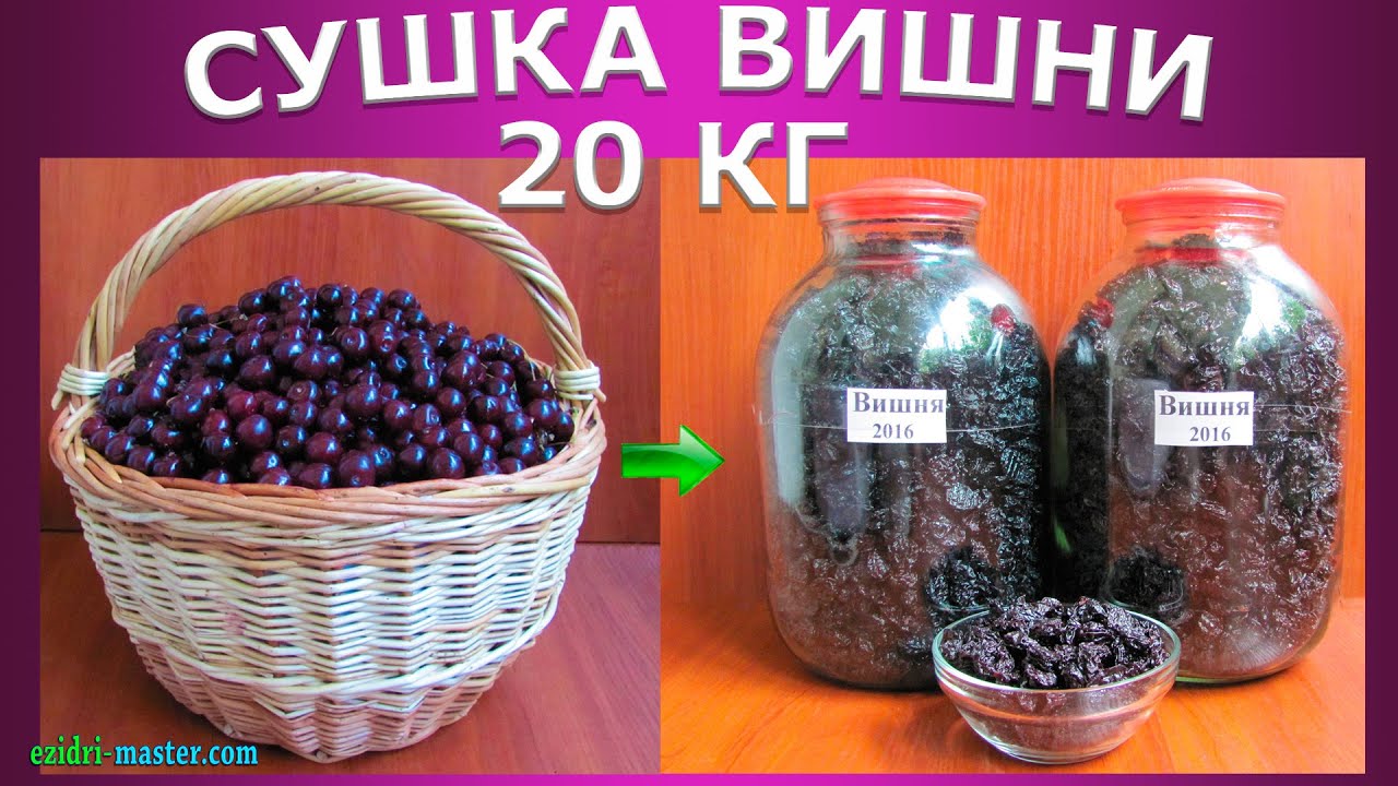 Сушка вишни – 20 кг.