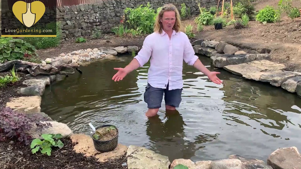 How to Plant a Natural Pond with Chris Myers