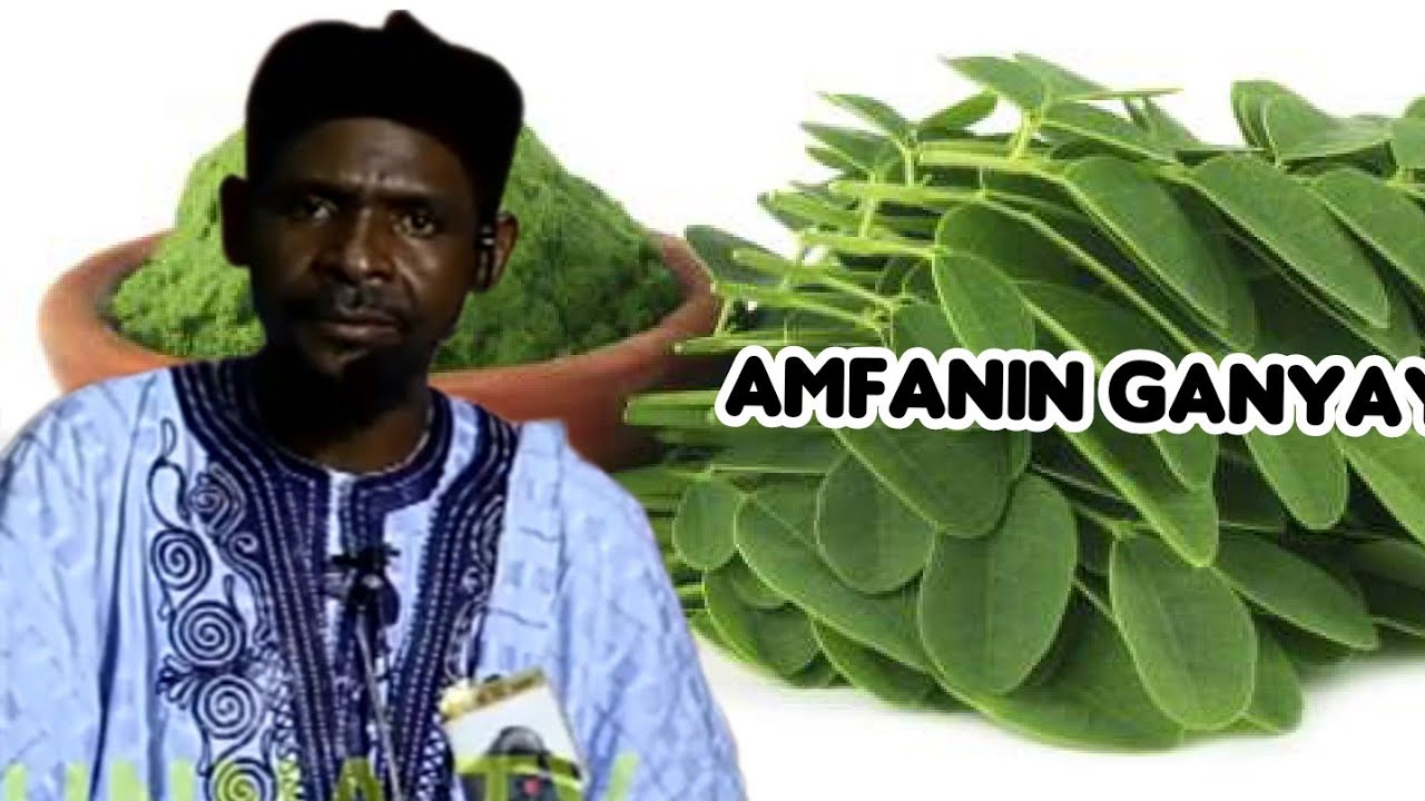 Daga Dr. Nura Salihu Adam (Salihannur) amfanin ganyan Zogale #zogale #nigeria