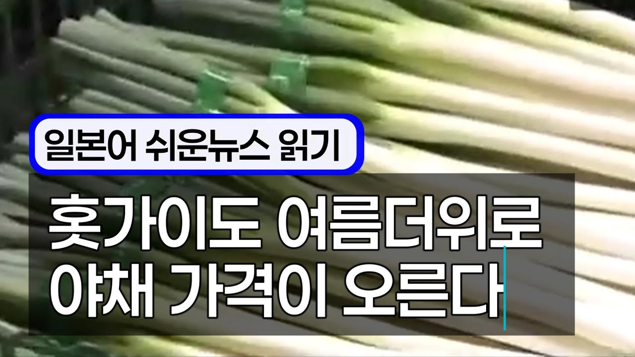 🔰 일본어청해 #17｜