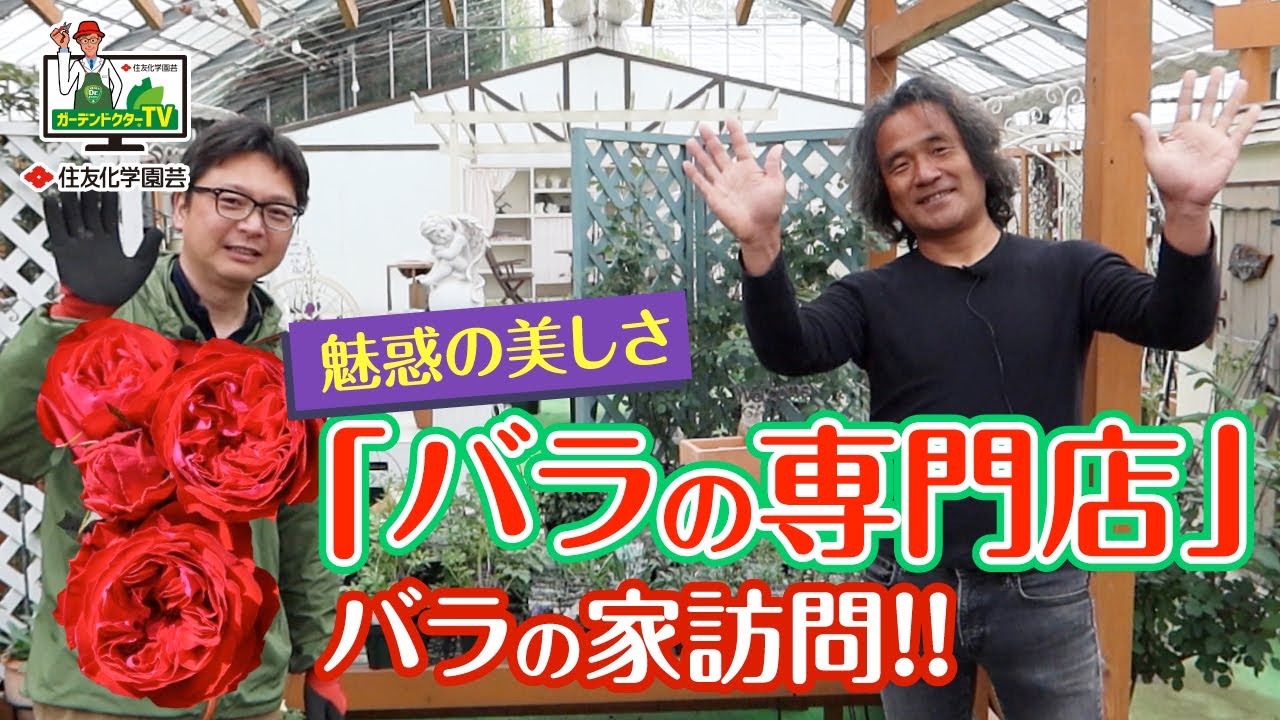 ＜園芸チャンネル＞　#木村卓功　の「バラの家」を訪問～ガーデンドクターTV41