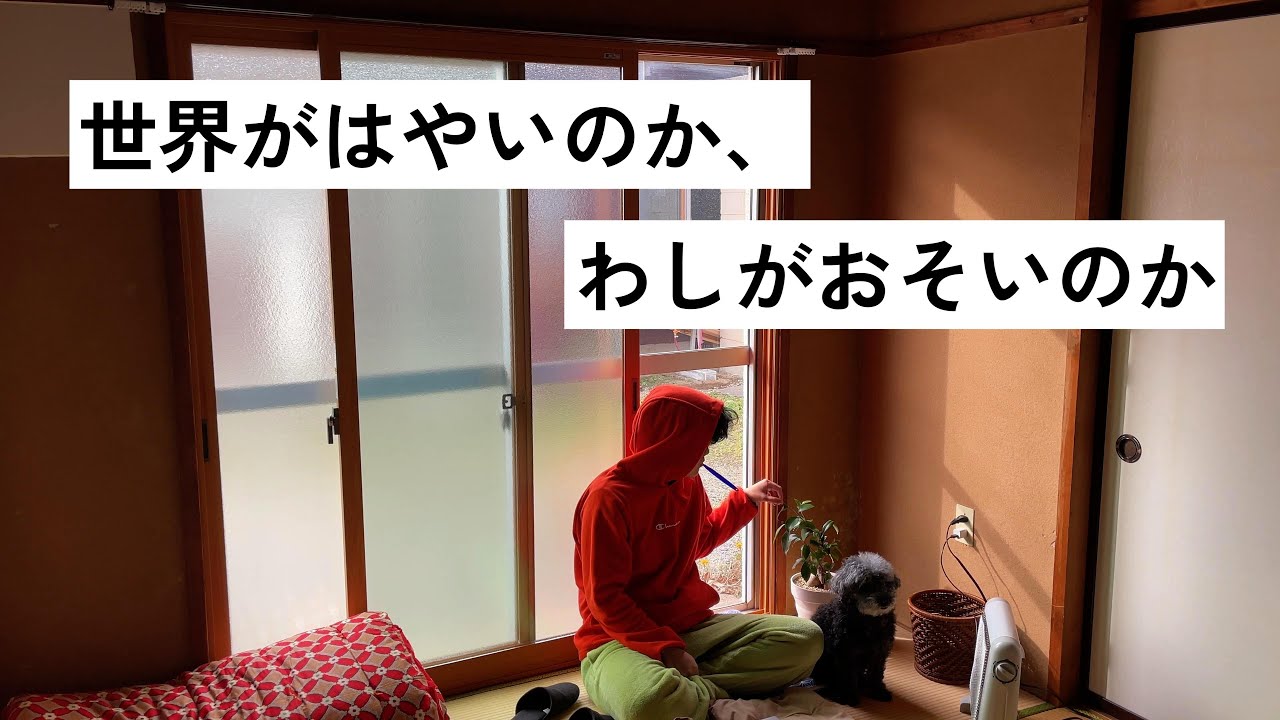 【マイペース】わしとウメの1日はだいたいこんな感じ