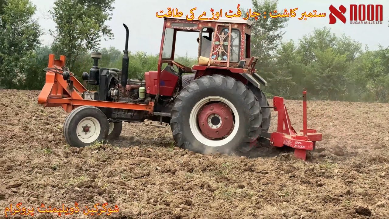 چار فٹ فاصلے پر لگائی گئی کماد کی شاندار جرمینیشن | نون شوگر ملز