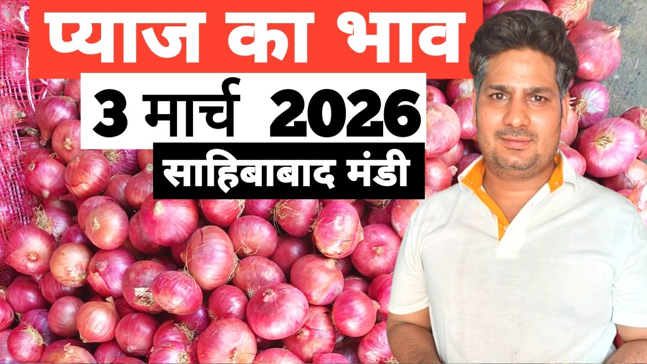 3 March 2026 🧅प्याज़ का भाव साहिबाबाद मंडी ।। Today Onion Rate in Sahibabad Mandi || Bharat ke Bazar