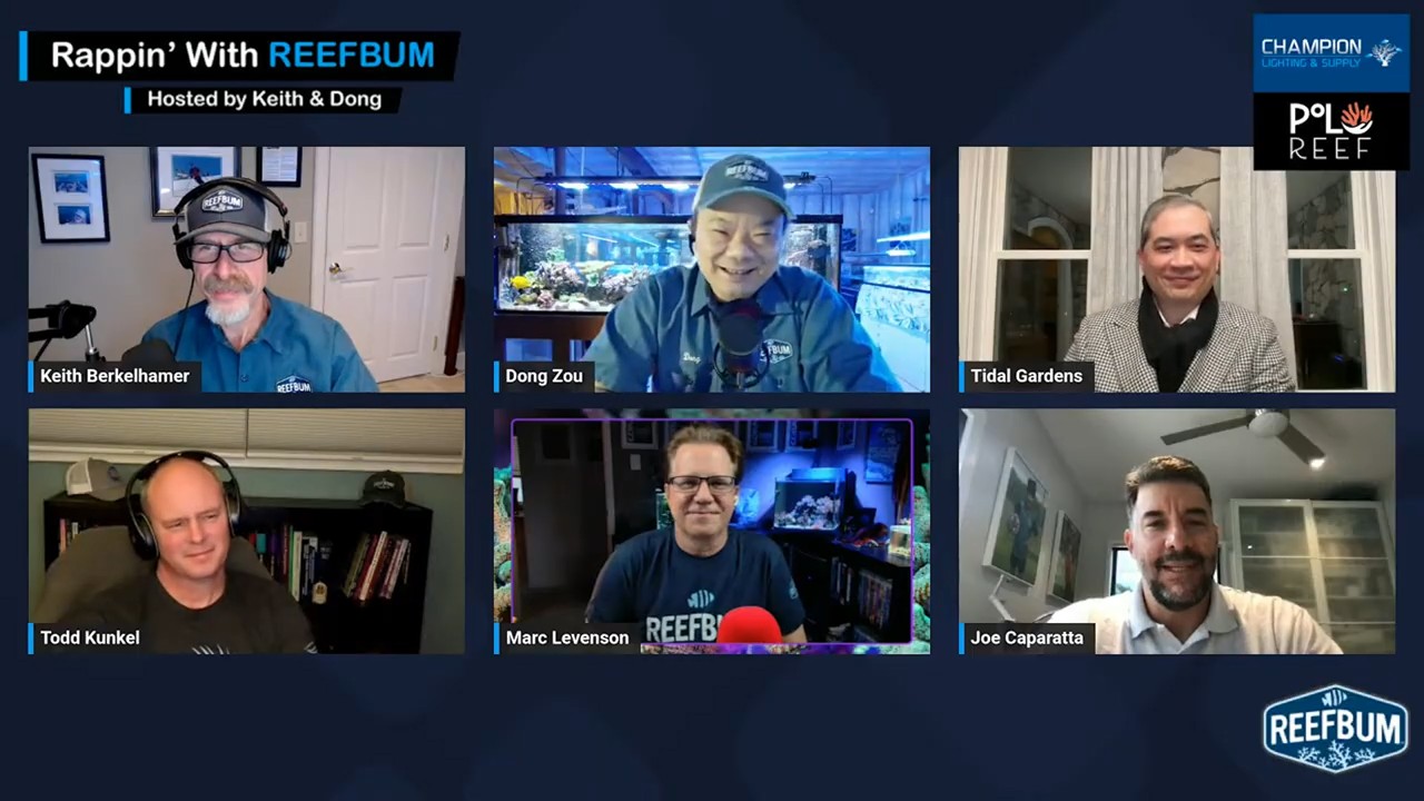 Rappin' With ReefBum: Guests Than Thein, Marc Levenson, Joe Caparatta & Todd Kunkel; Biz of Reefing