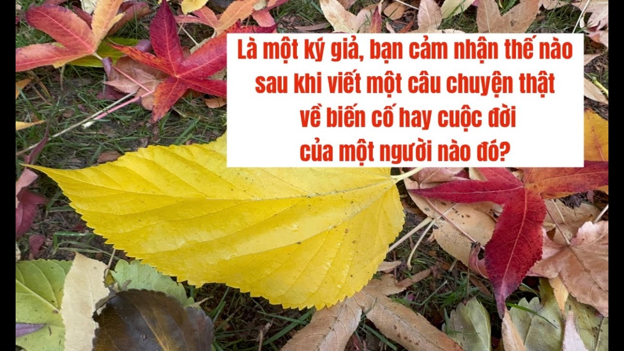 Cảm nhận khi viết về một câu chuyện có thật về biến cố hay cuộc đời của một người