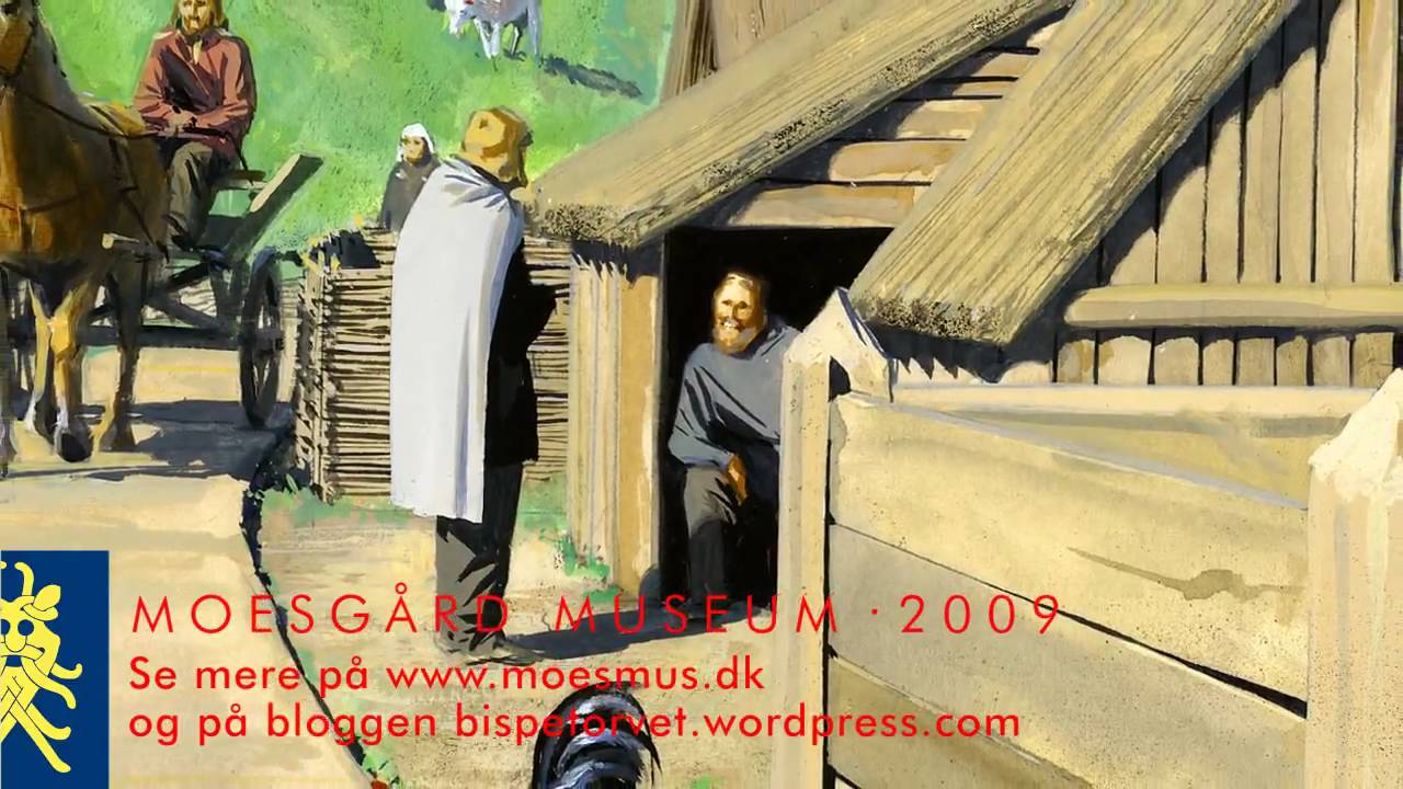 På sporet af Vikingernes Aros - arkæologisk udgravning på Bispetorvet i Århus, december 2009