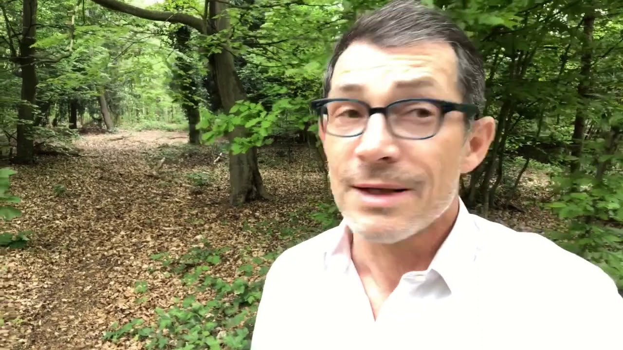 Le d&eacute;veloppement harmonieux