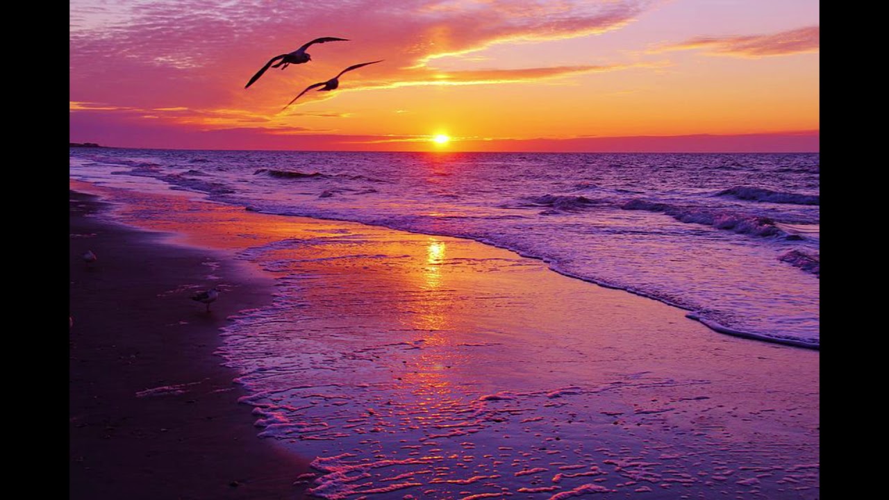 Goyanu - Sommerlaune (Original Mix)
