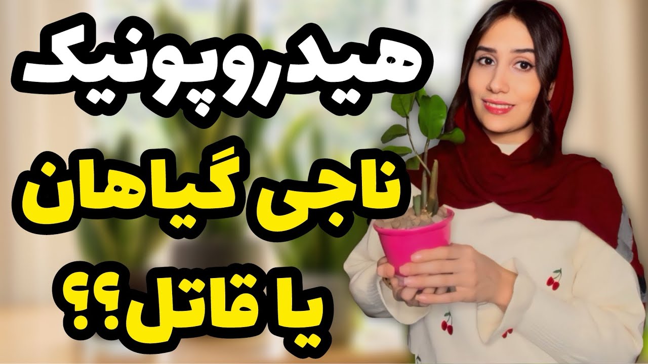 ۳ دسته از گیاهانی که هیدروپونیک نابودشون میکنه❗️/ تجربه خودم از هیدروپونیک کردن گیاهان🪴