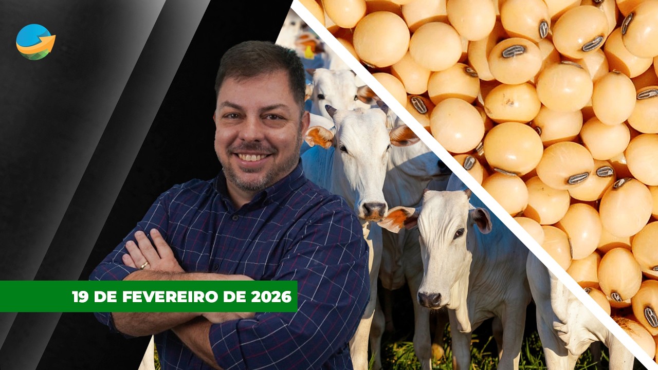 Boi China bate os R$350/@ em SP na volta do carnaval; soja segue alta do óleo e deixa aumento de...