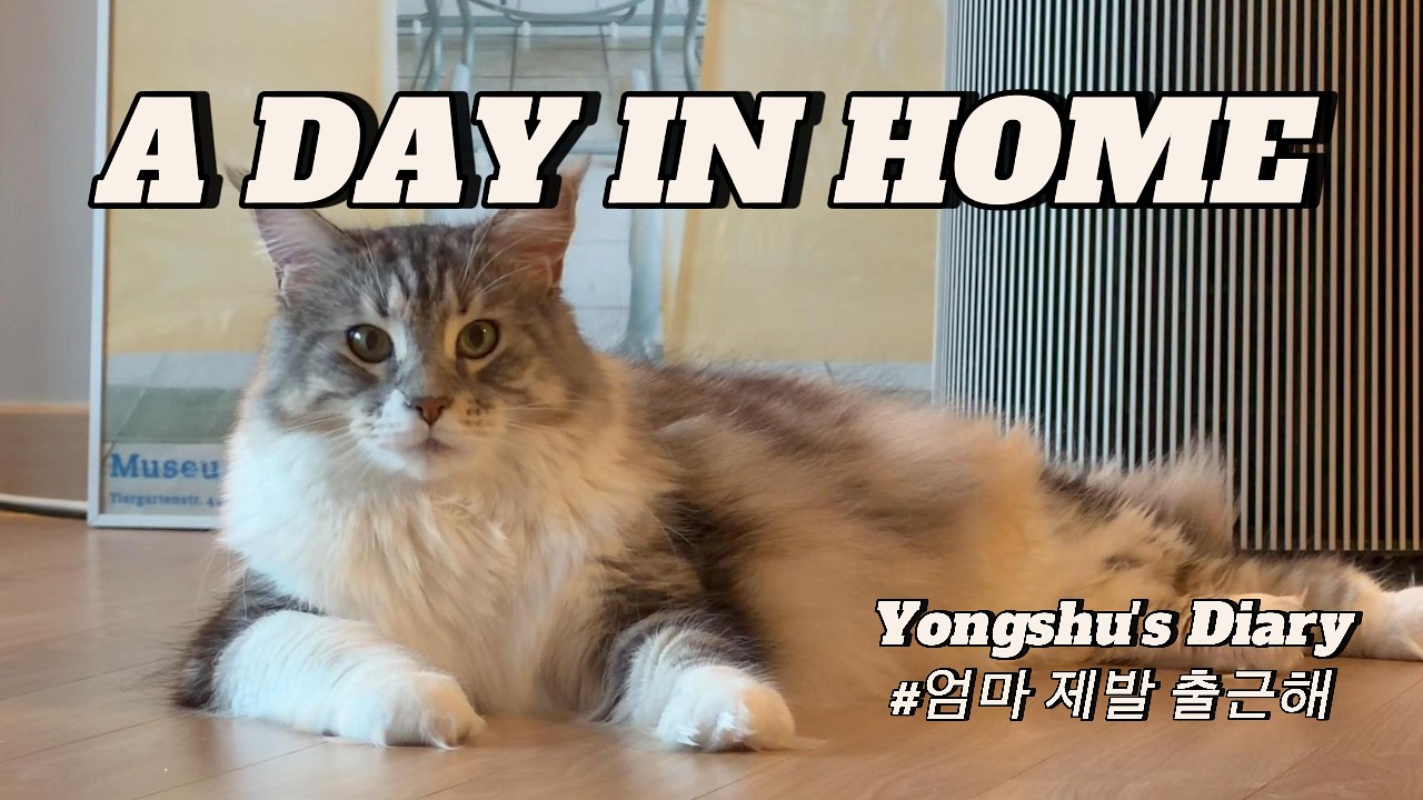 엄마 제발 출근하면 안돼?