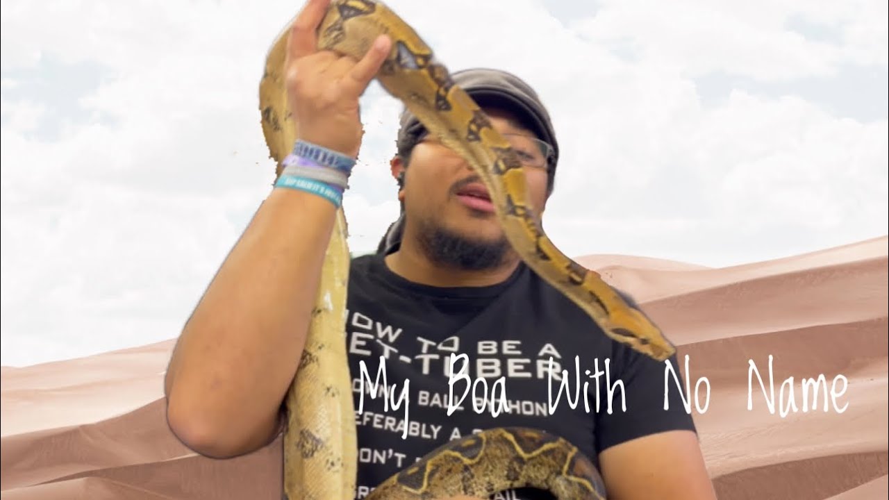 I Live in The Desert With a Boa With No Name