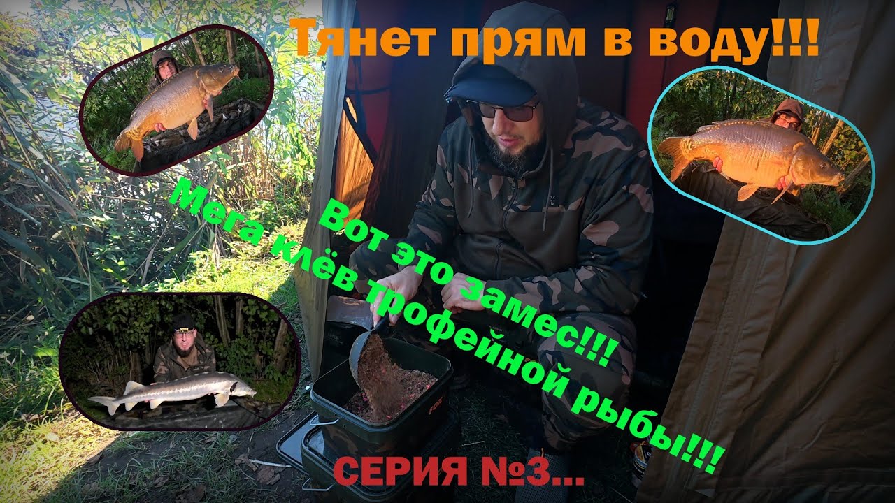 Карп фишинг на платном водоёме.. 3 СЕРИЯ...