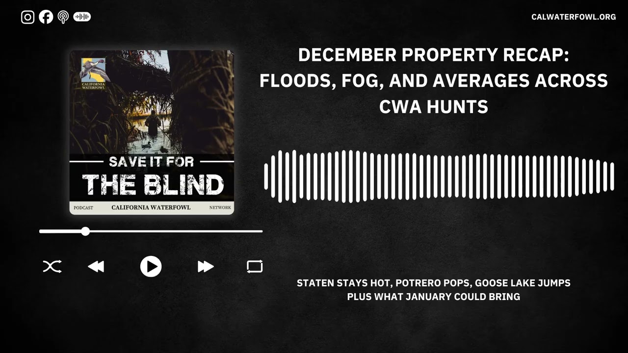 Ep. 113 December Property Recap: Floods, Fog, and Averages Across CWA Hunts