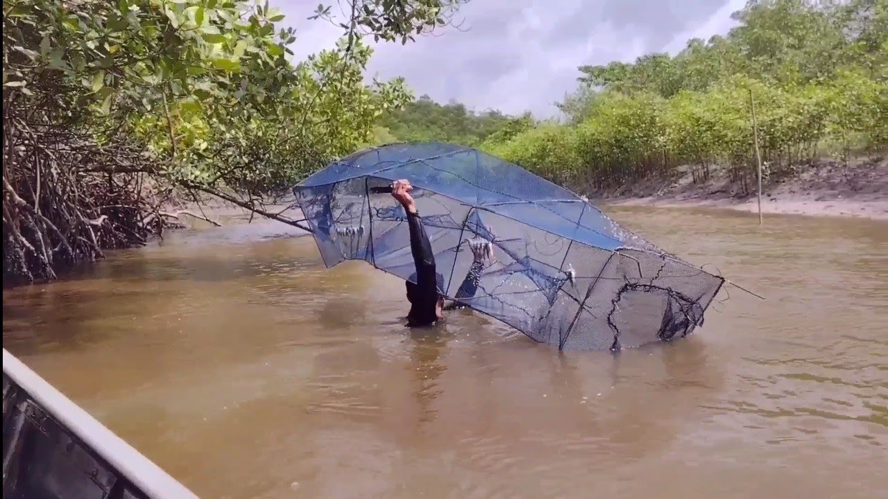 TESTANDO UMA ARMADILHA GIGANTE PRA SIRI. UMA GRANDE AVENTURA.