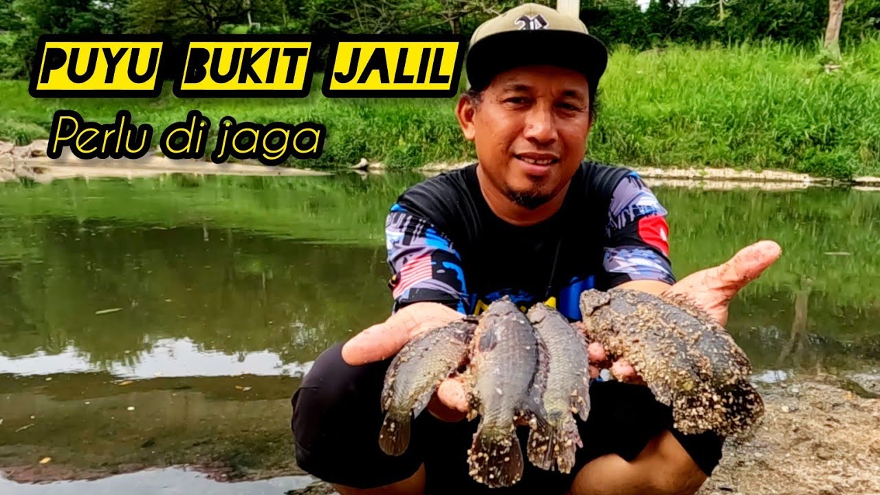Menjala Di Sungai Kuyoh Bukit Jalil #gengdunia