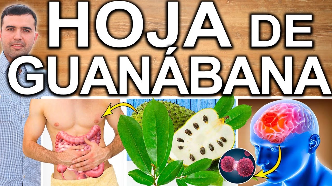 TE DE HOJA DE GUANABANA - Para Que Sirve, Beneficios Para Tu Salud Y Belleza