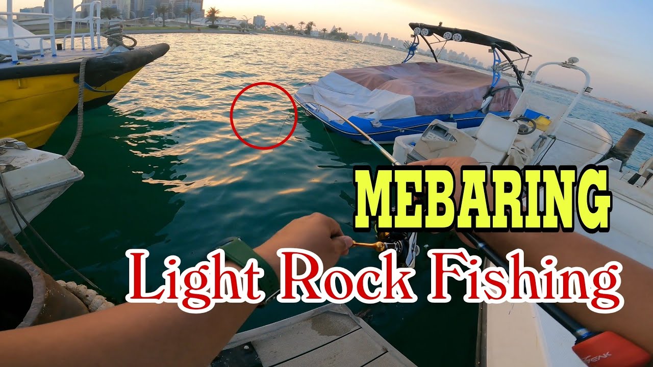 Daming Rock Fish Species dito - Mebaring Qatar #fishing #youtube #ajing #mebaring